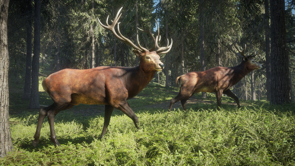 [猎人：荒野的召唤]theHunter: Call of the Wild-Build.8987614插图8
