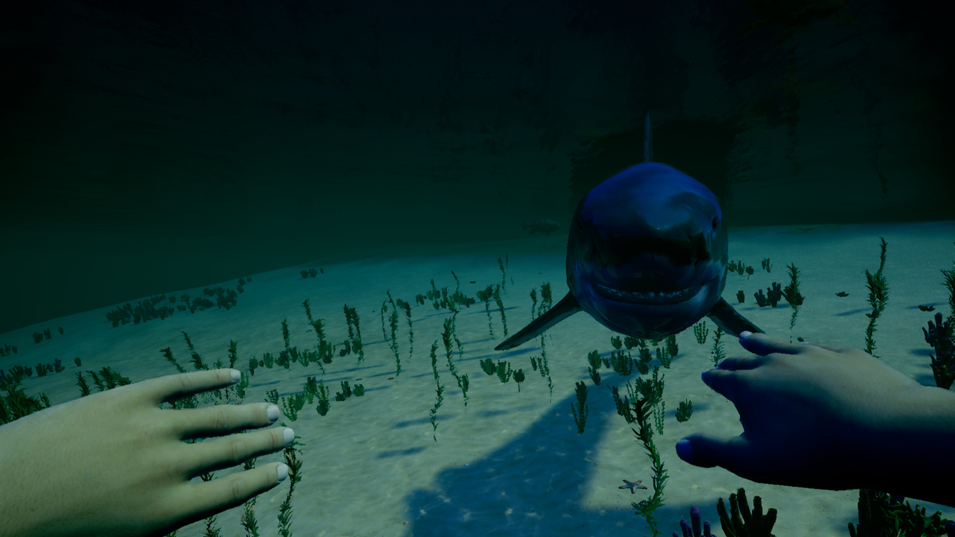 我的海岛	/My Island 截图 64