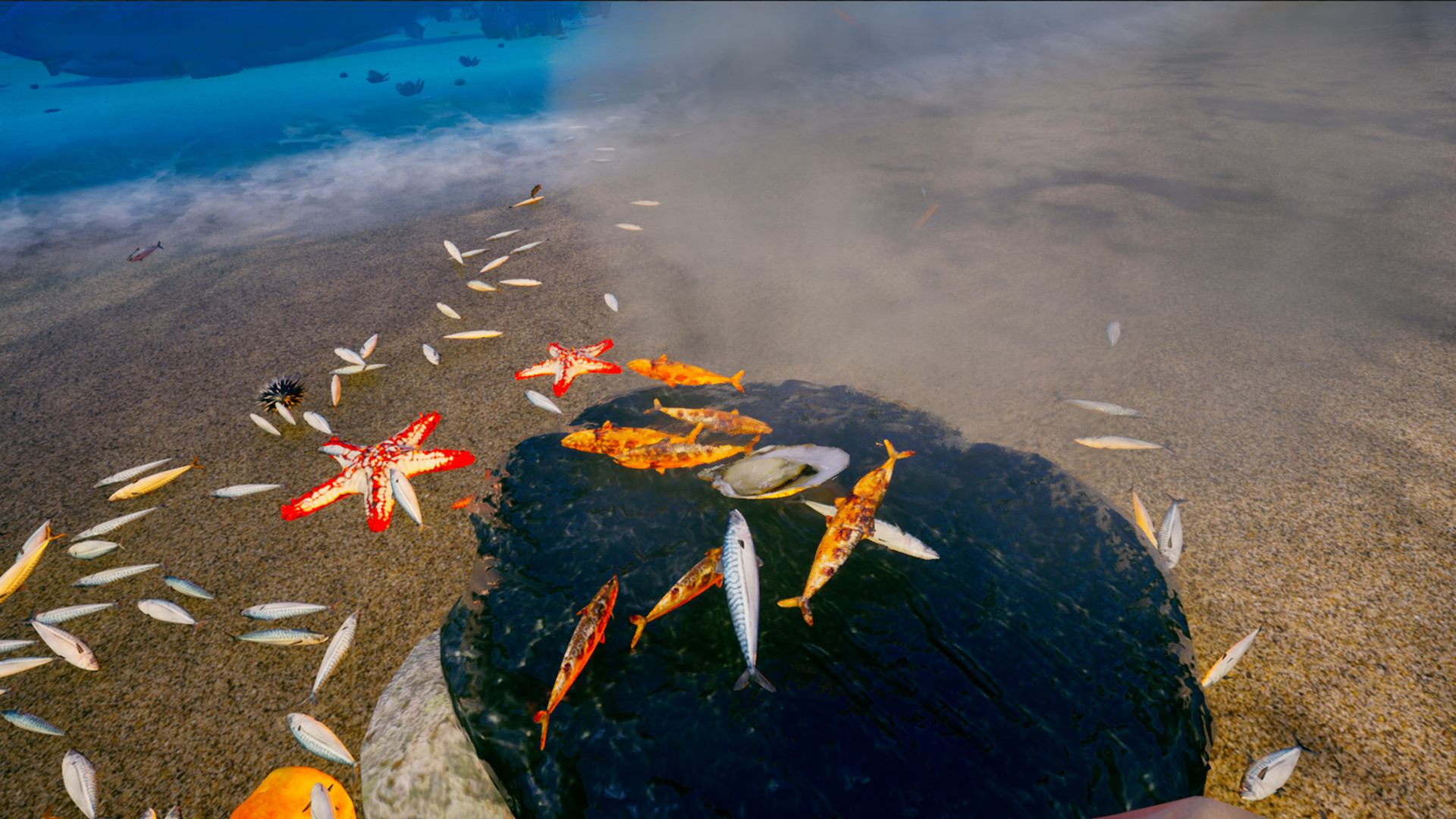 我的海岛	/My Island 截图 70