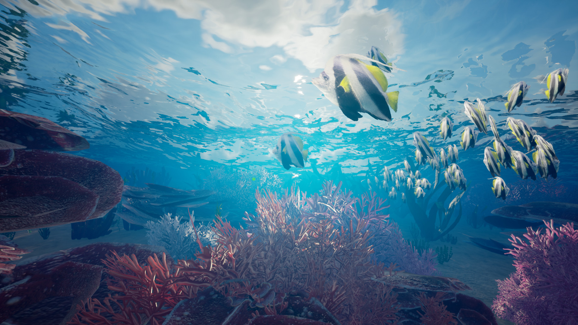 我的海岛	/My Island 截图 10