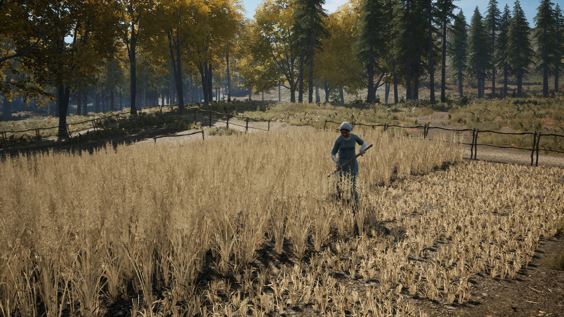 中世纪王朝 /Medieval Dynasty 截图 10