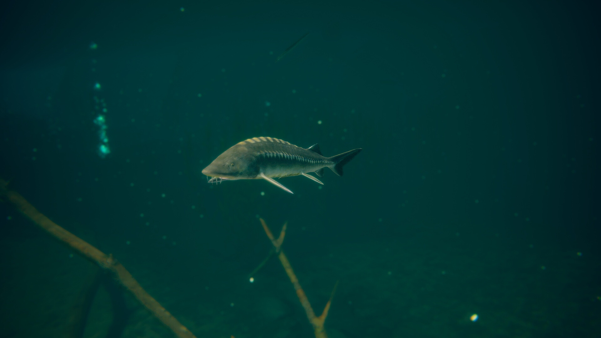 终极钓鱼模拟器2             /Ultimate Fishing Simulator 2 截图 18