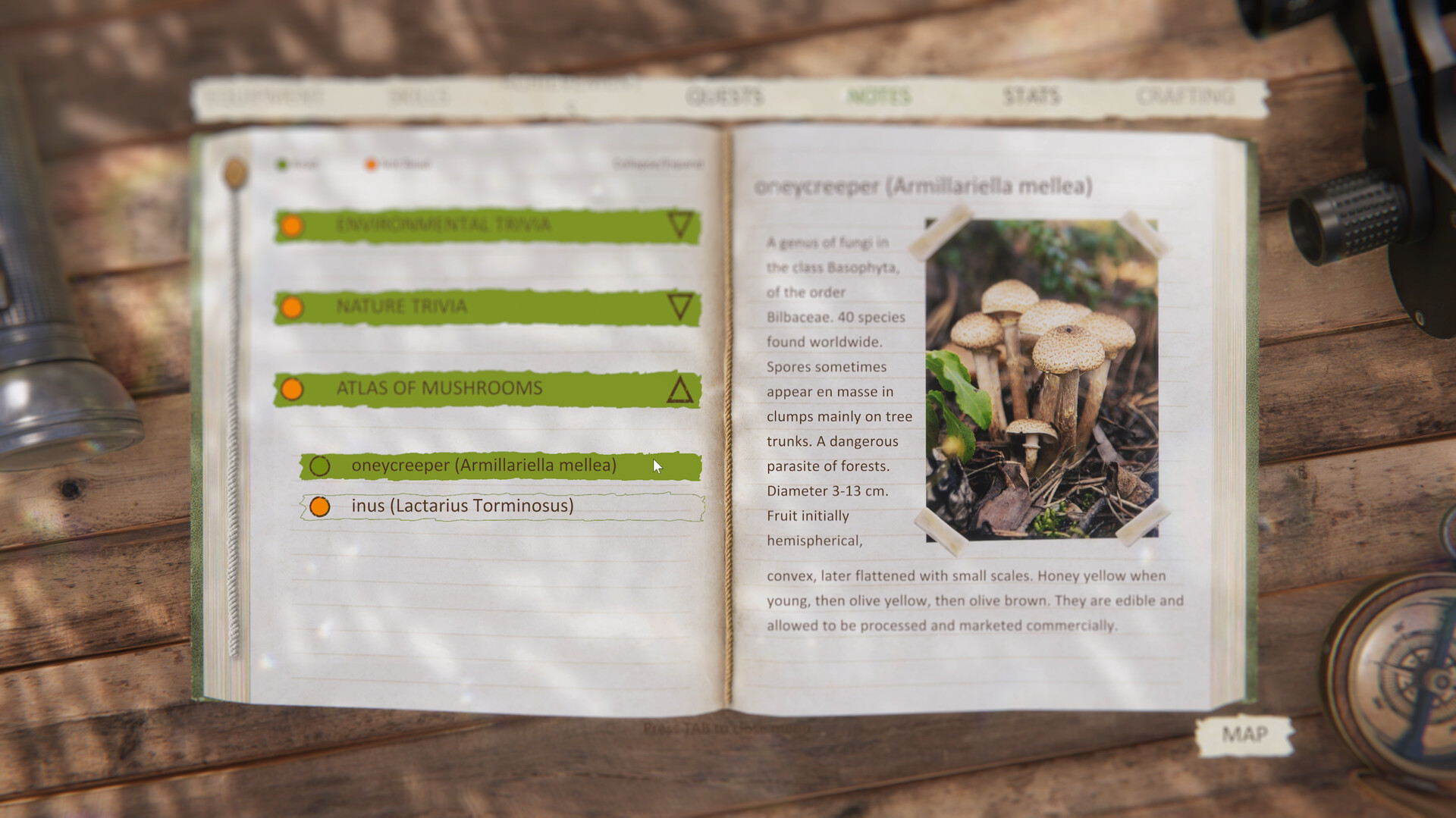 森林管理员模拟器/Forest Ranger Simulator 截图 20