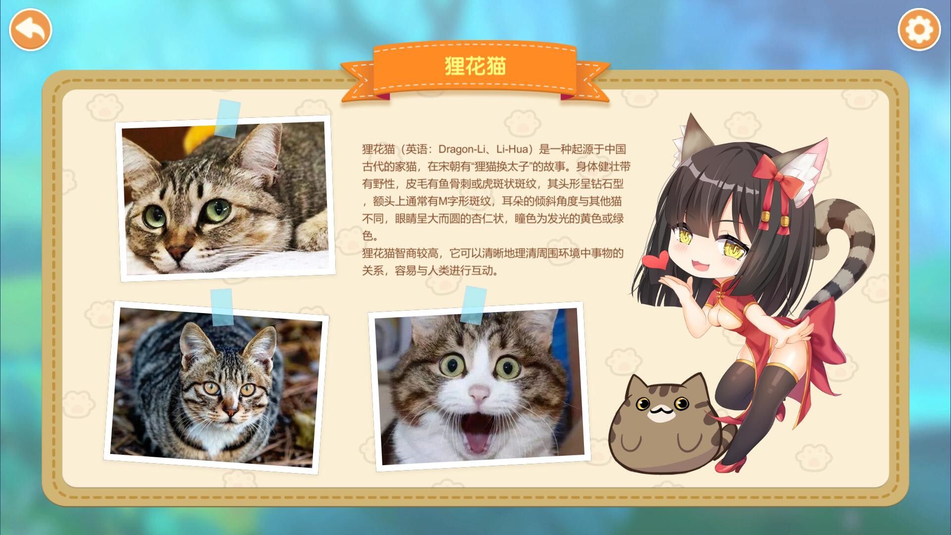 图片[5]-《猫姑娘：喵喵岛(Miss Neko 2)》-火种游戏