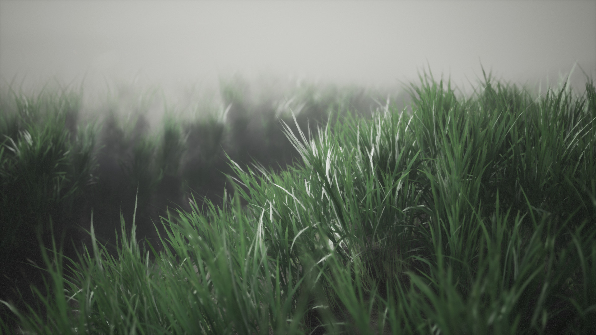 米达尔斯沙滩 漫步冰岛|VR游戏|英文|免安装硬盘版