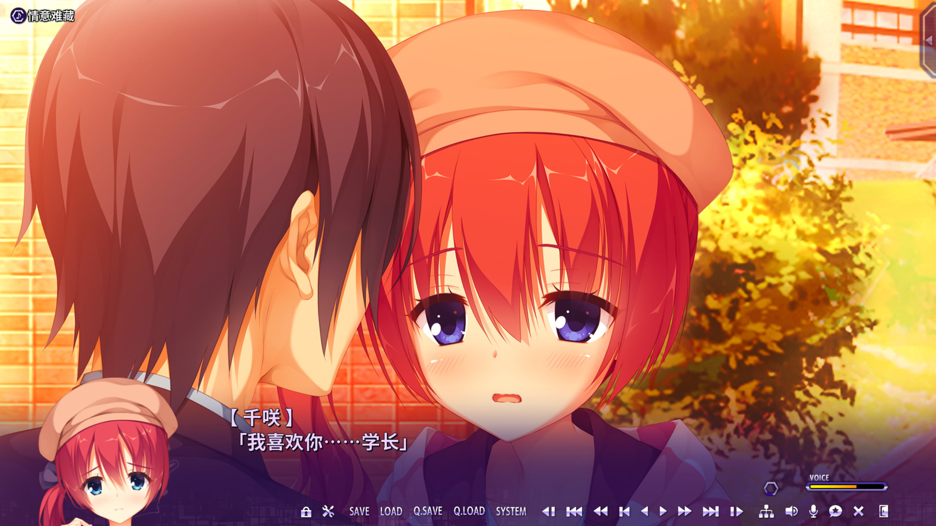 【ADV/中文】谜语小丑 Steam官方中文版【7.1G】
