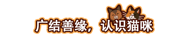 图片[5]-猫咖经理/Cat Cafe Manager V1.1.421 中文学习版-资源工坊-游戏模组资源教程分享