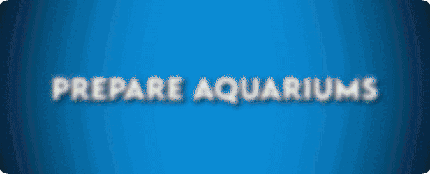 Aquarist - 建造水族馆，繁殖鱼类，拓展你的业务!|官方中文|支持手柄|Aquarist插图1