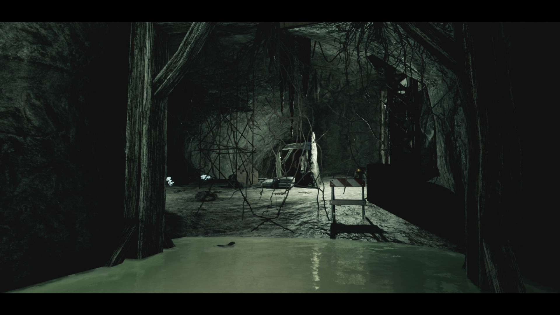 埃博拉病毒2/EBOLA 2 截图 30