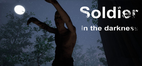 Soldier in the darkness Cover Image