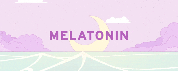 《Melatonin》官中简体|容量425MB