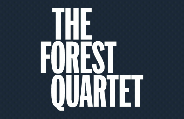 森林四重奏|官方中文|本体+4.0.1升补|NSZ|原版|The Forest Quartet插图