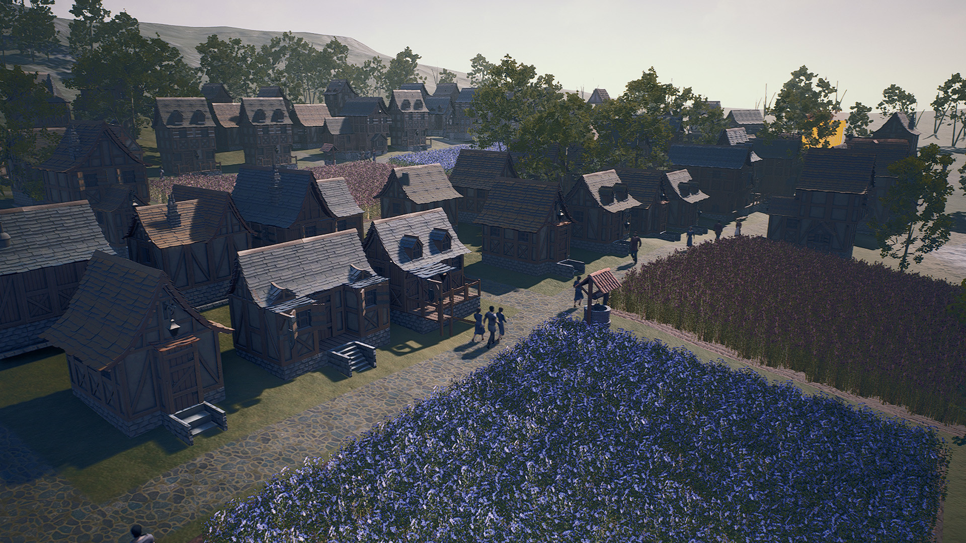 新家园：中世纪村庄_New Home: Medieval Village第2张