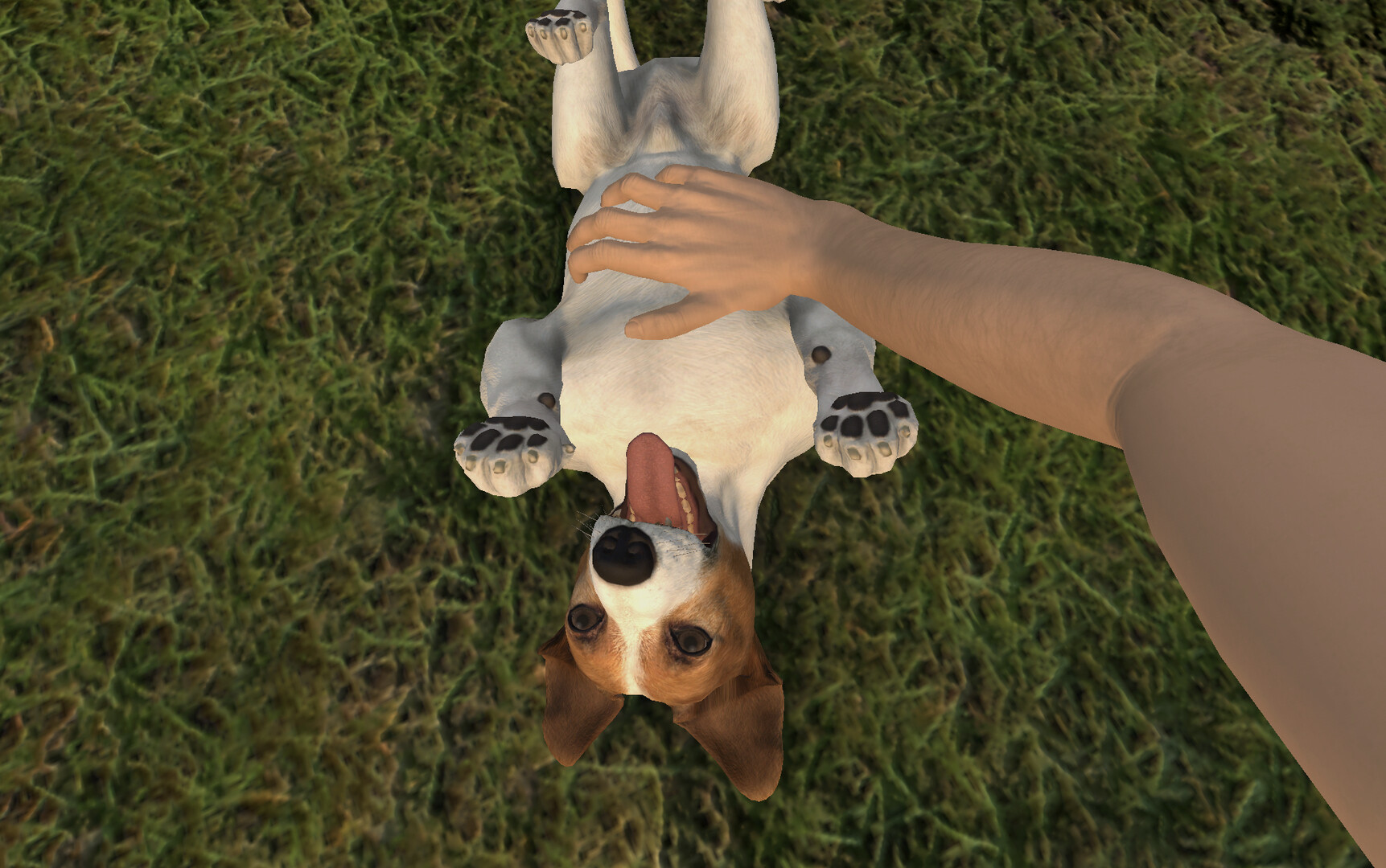 宠物旅馆/Pets Hotel 截图 16