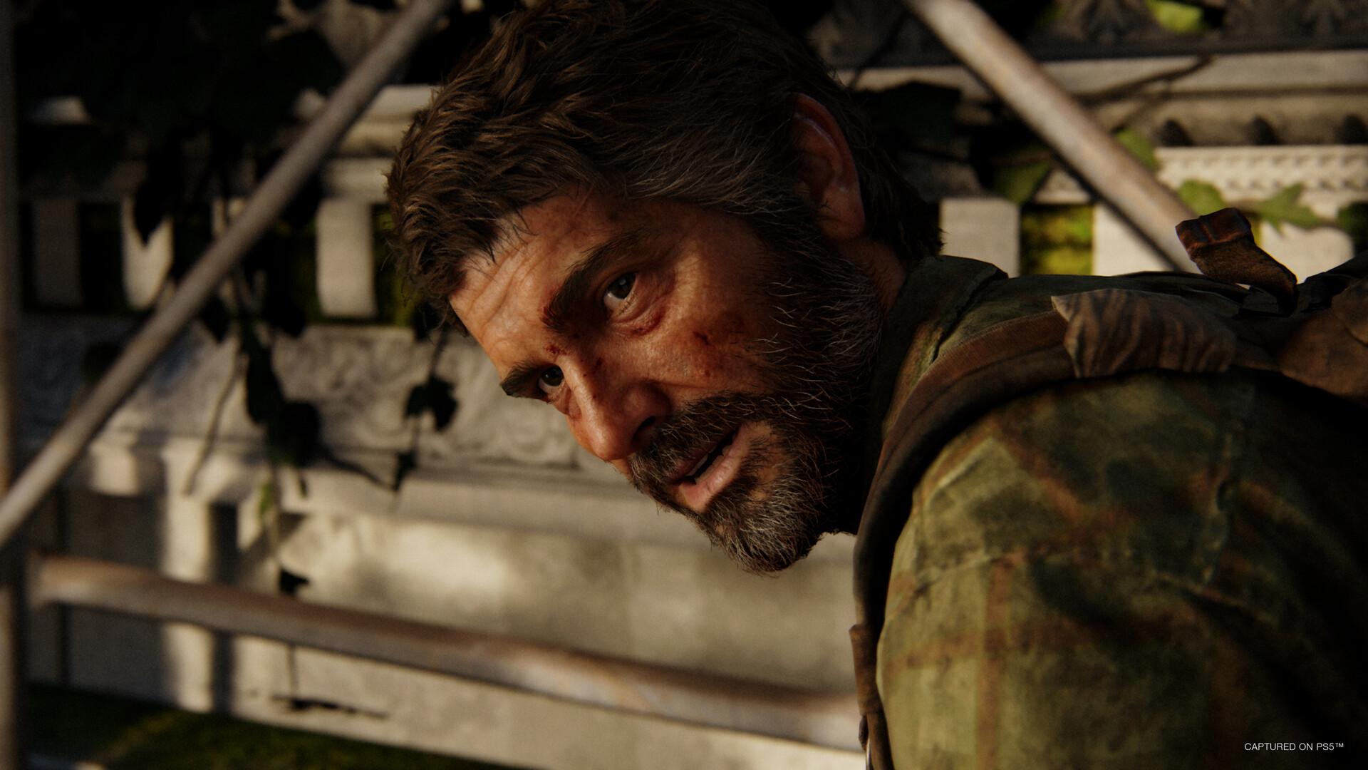  最后的生还者/美国末日（The Last of Us）1.0.5免安装中文版插图9