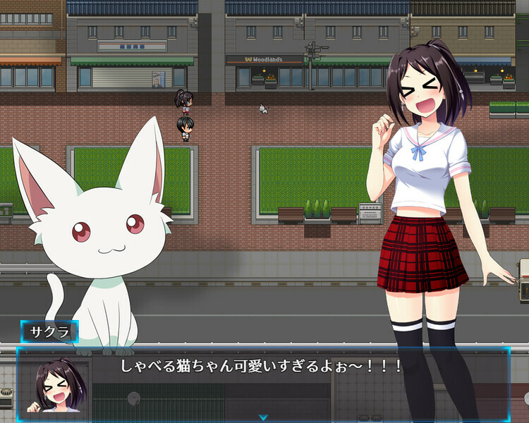 【RPG】光樱闪姫普利塞 Build.8631613~官方中文+DLC+目录CG[PC+1G]