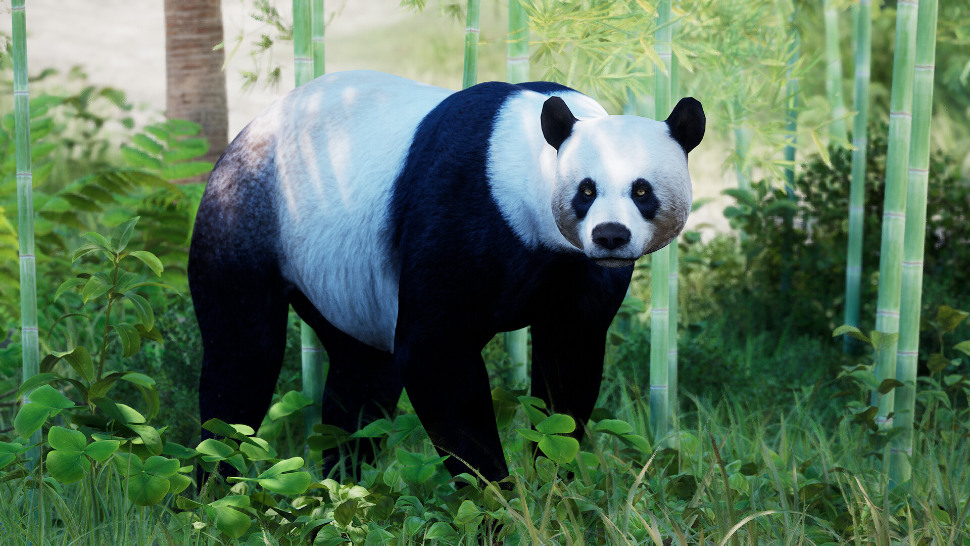 伊甸岛/Edensland Early 截图 61