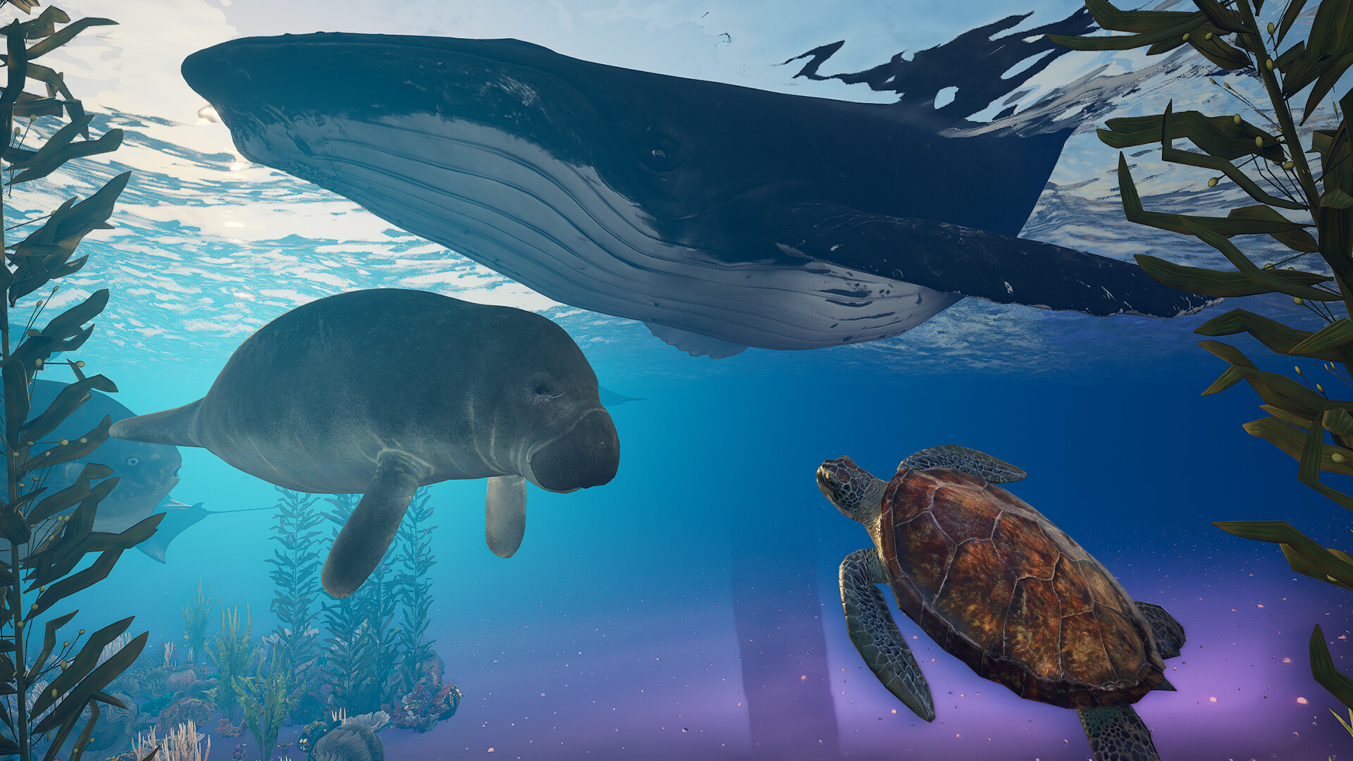 伊甸岛/Edensland Early 截图 31