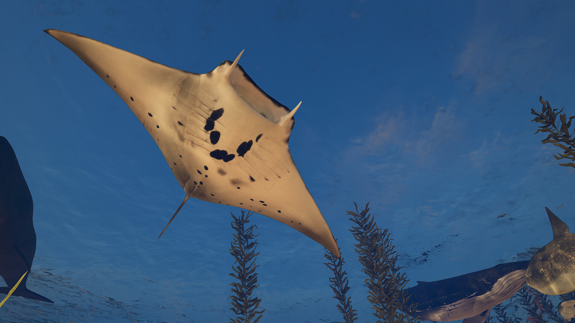 伊甸岛/Edensland Early 截图 34