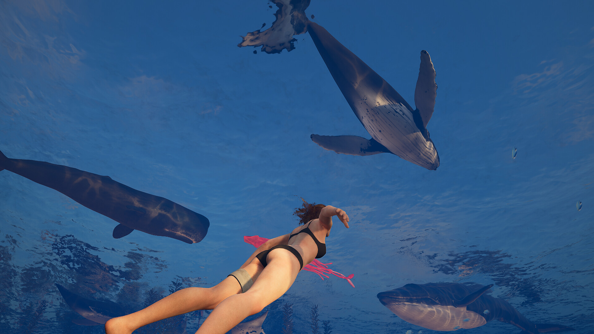 伊甸岛/Edensland Early 截图 40