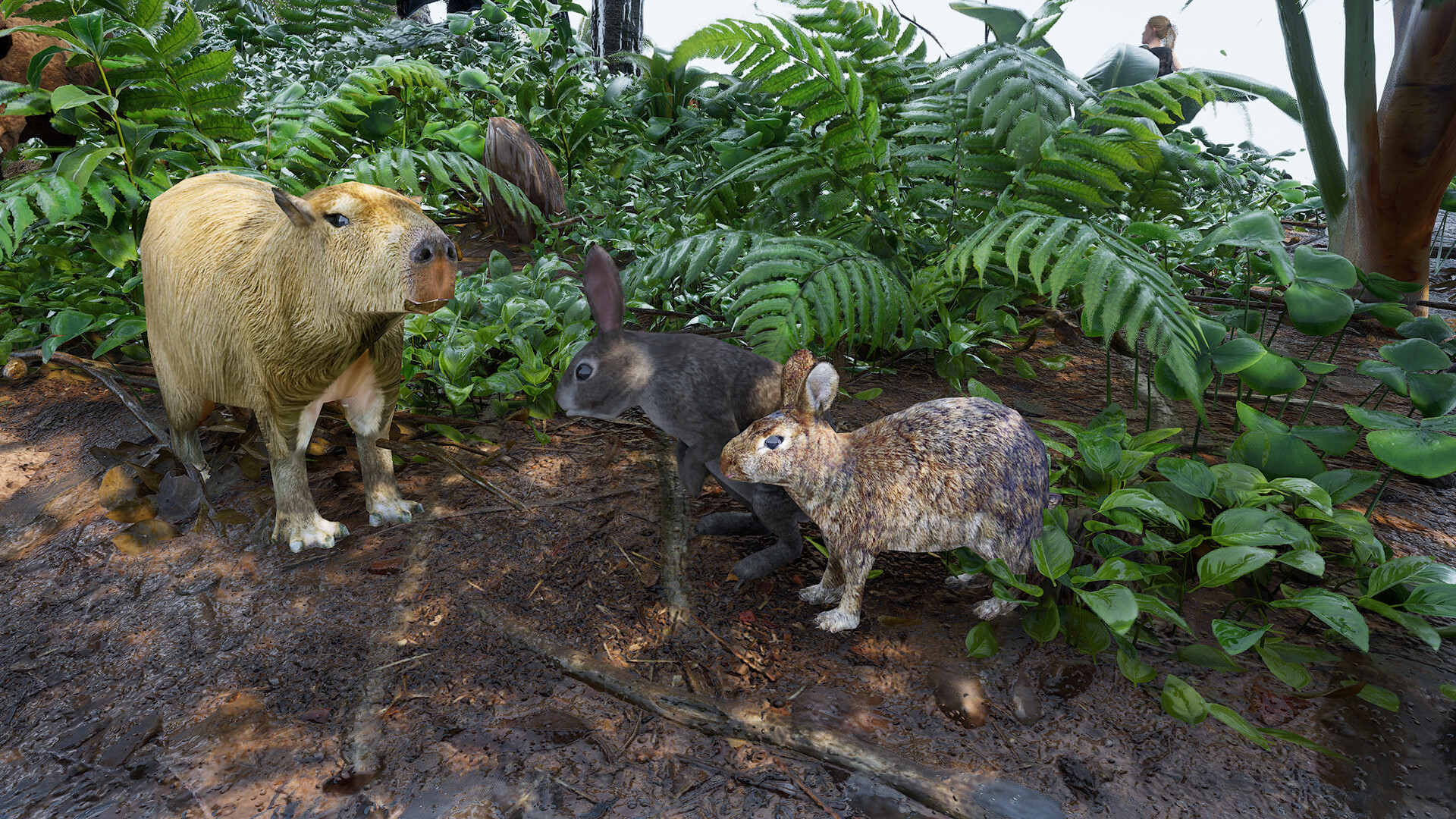 伊甸岛/Edensland Early 截图 53