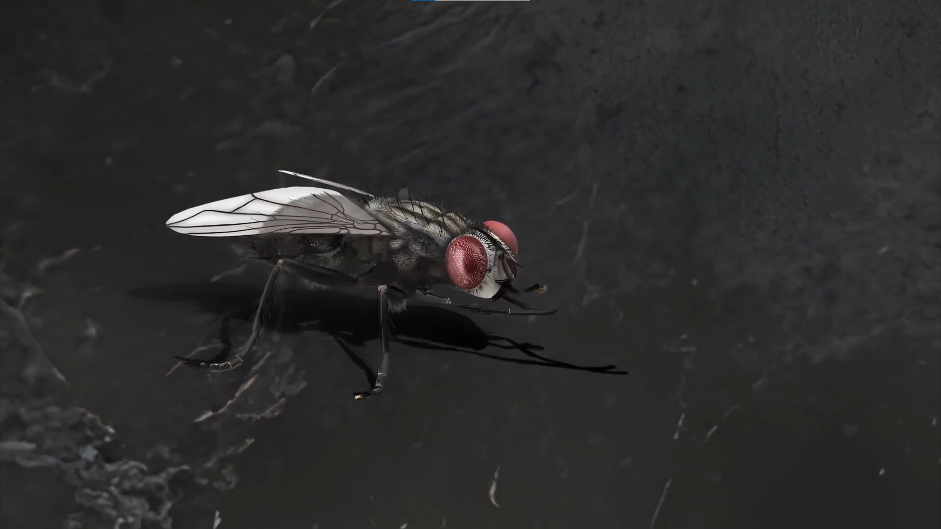 残秽的我们2：普渡慈航	/Filthy us 2 截图 4