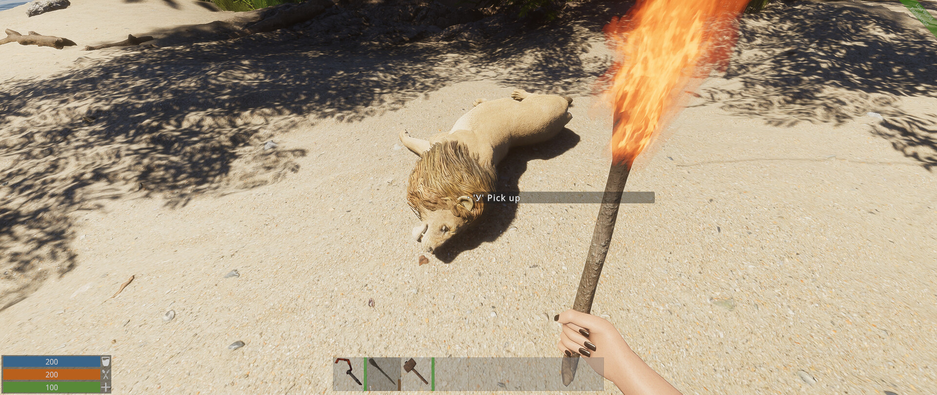 失落的世界/Lost World 截图 16