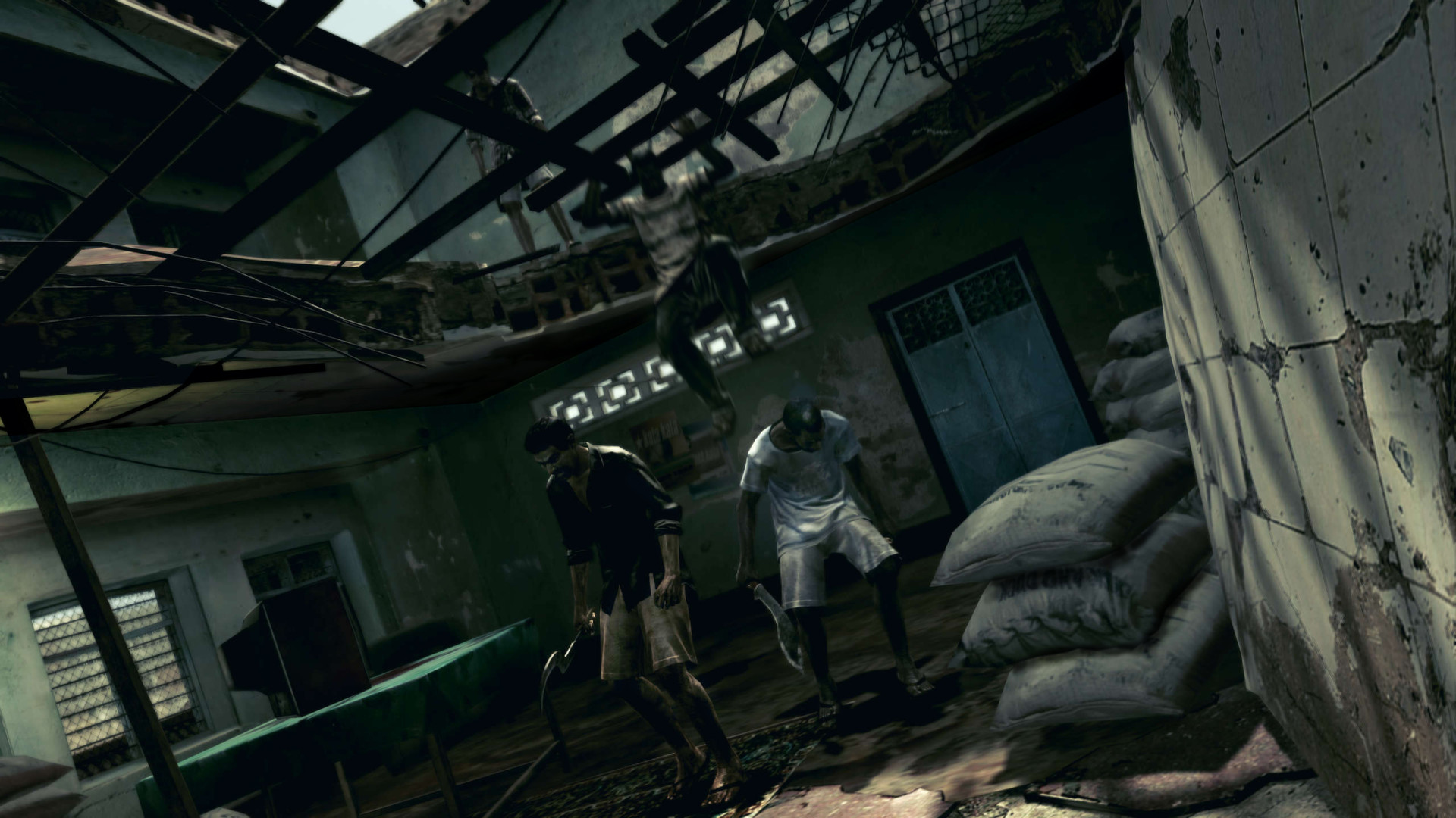 图片[13]-《生化危机5：黄金版(Resident Evil 5：Gold Edition)》-火种游戏