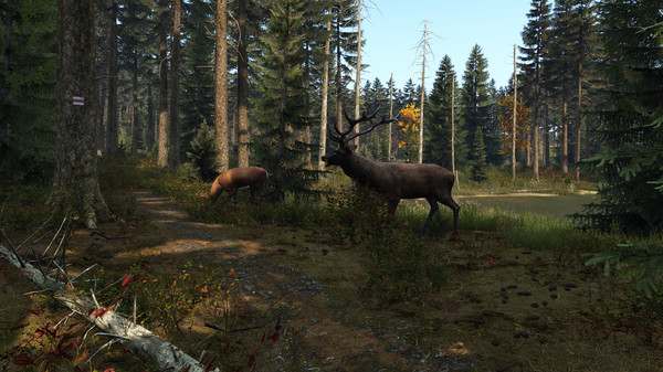DayZ（v1.13版）-小树基地