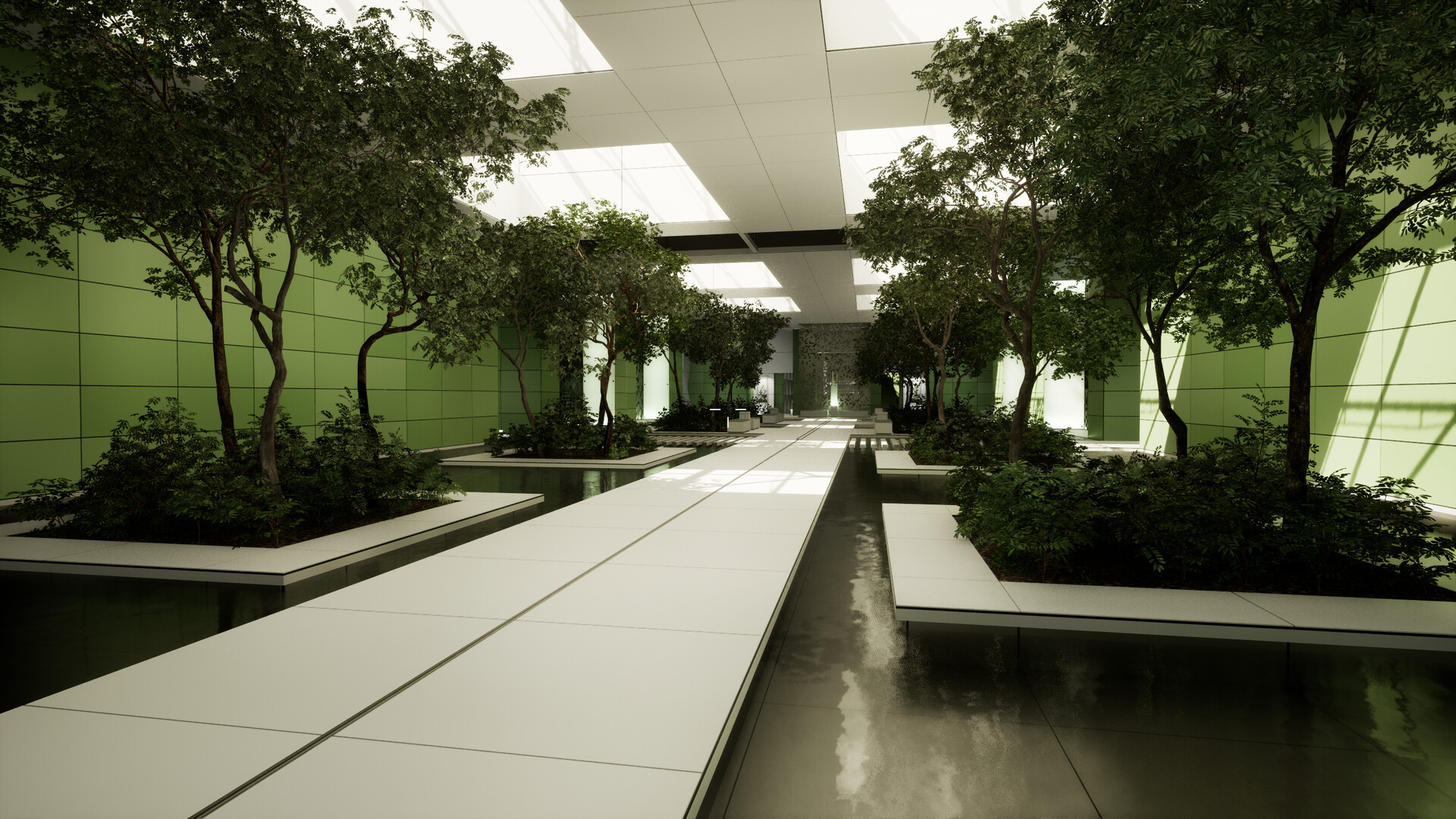 重新思考:进化5|英文|免安装硬盘版 重新思考:进化5|英文|免安装硬盘版