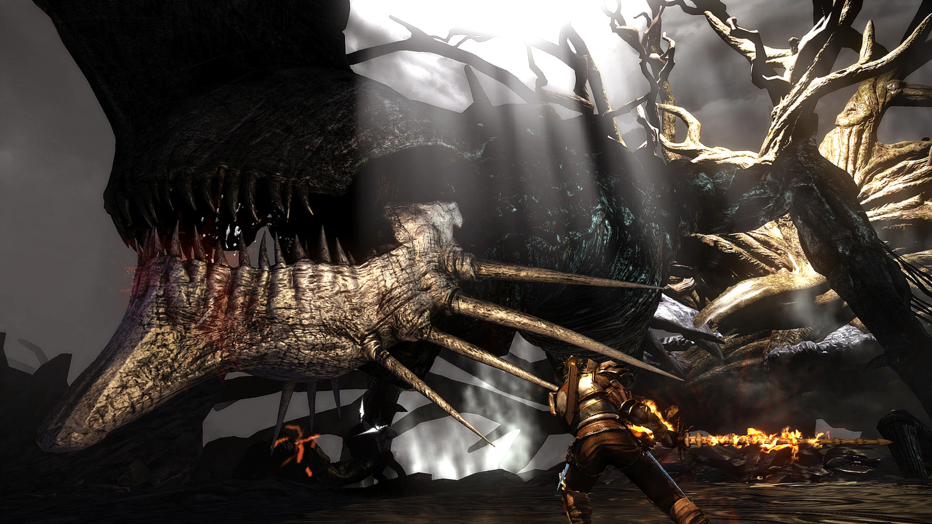 火焰限界/Bound By Flame 截图 2