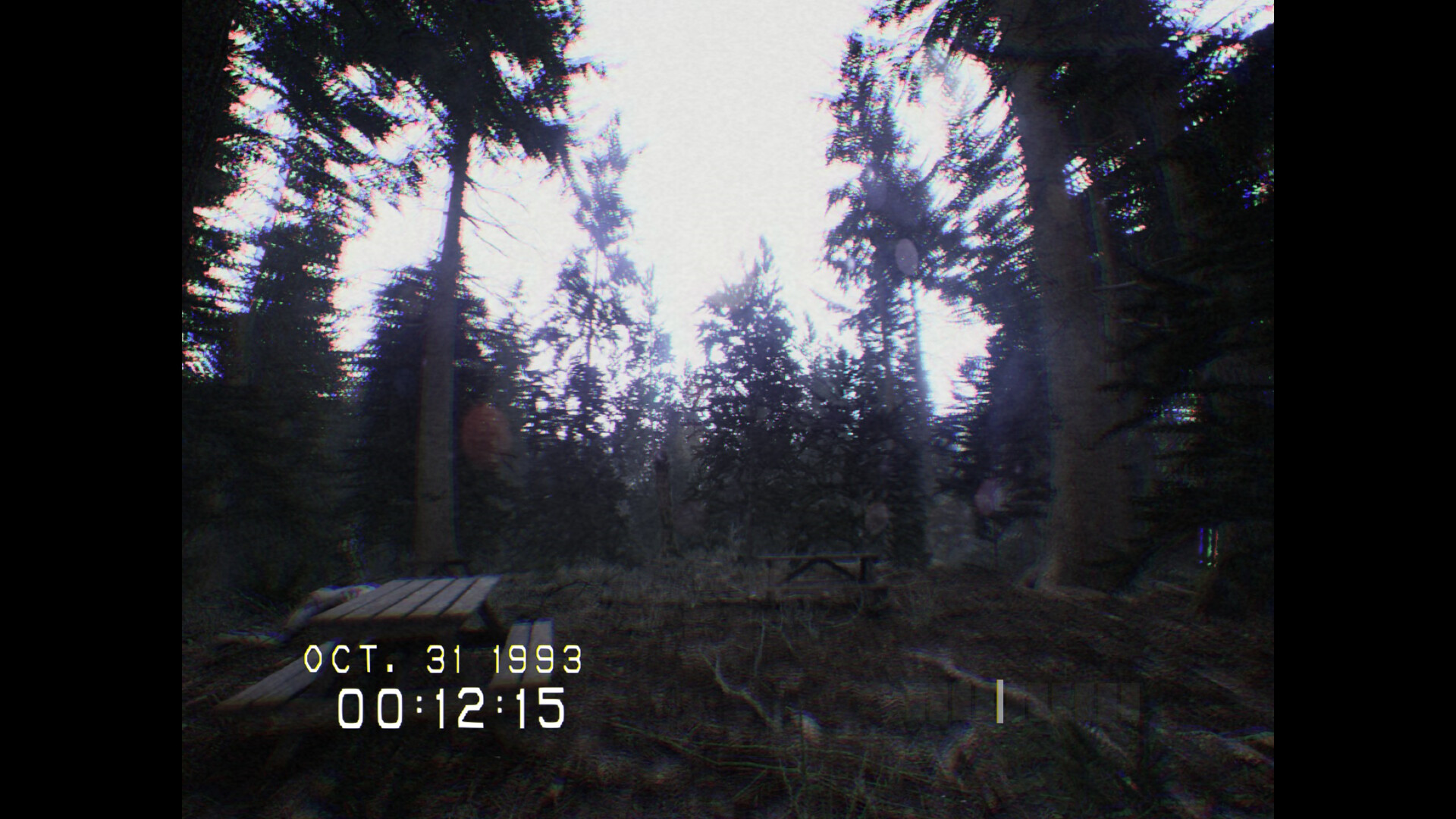 图片[1]-森林-Ycc Game 游戏下载