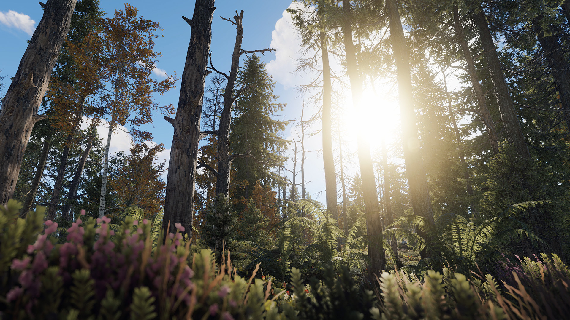 腐蚀 在线版/Rust 截图 31