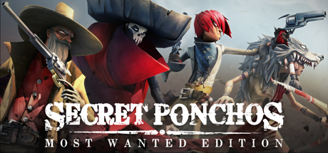 Secret Ponchos Cover Image