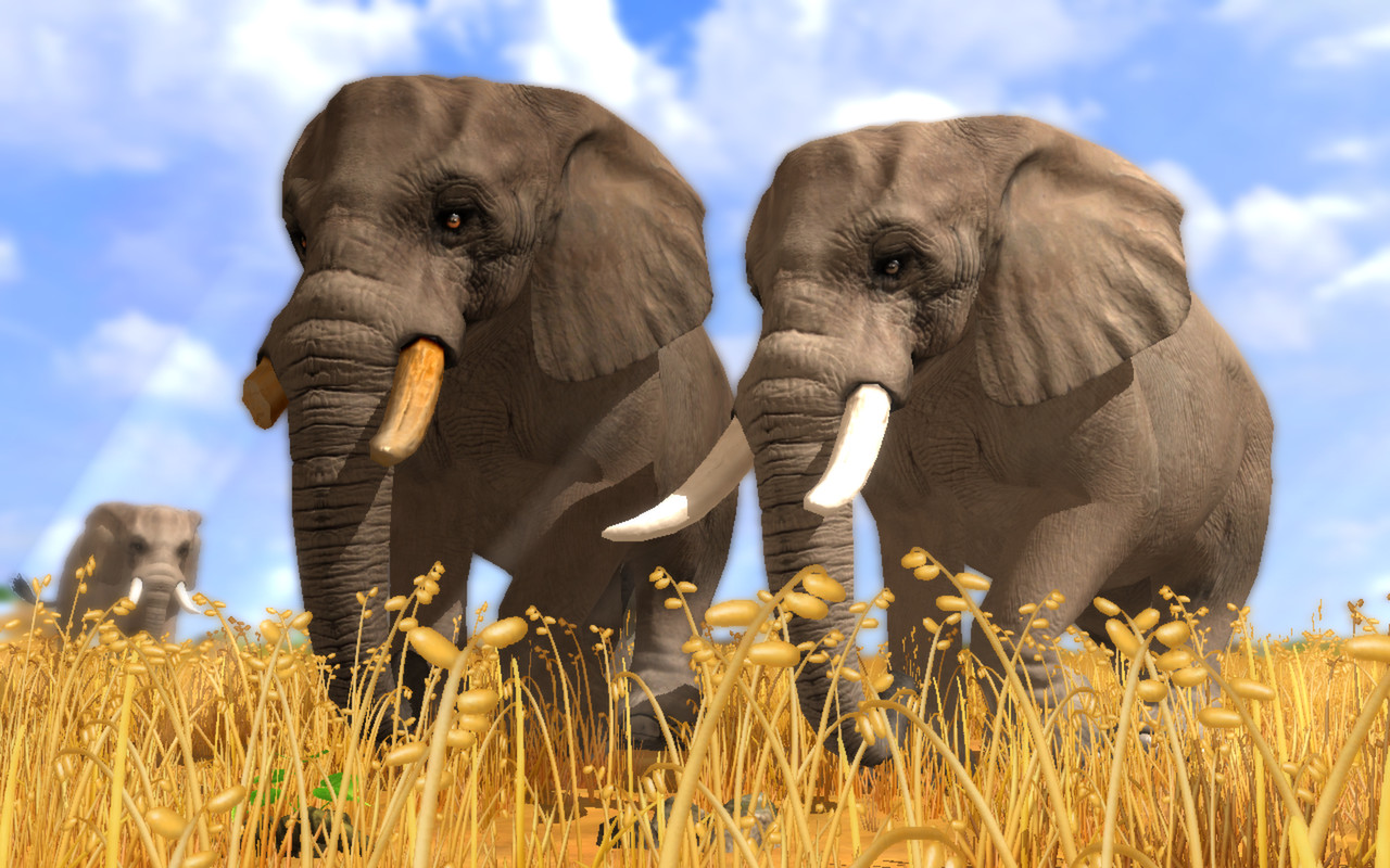 野生动物园3			/Wildlife Park 3 截图 1