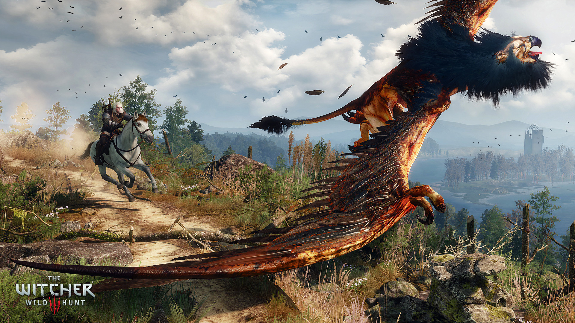 巫师3：狂猎 次世代/The Witcher® 3: Wild Hunt 截图 10