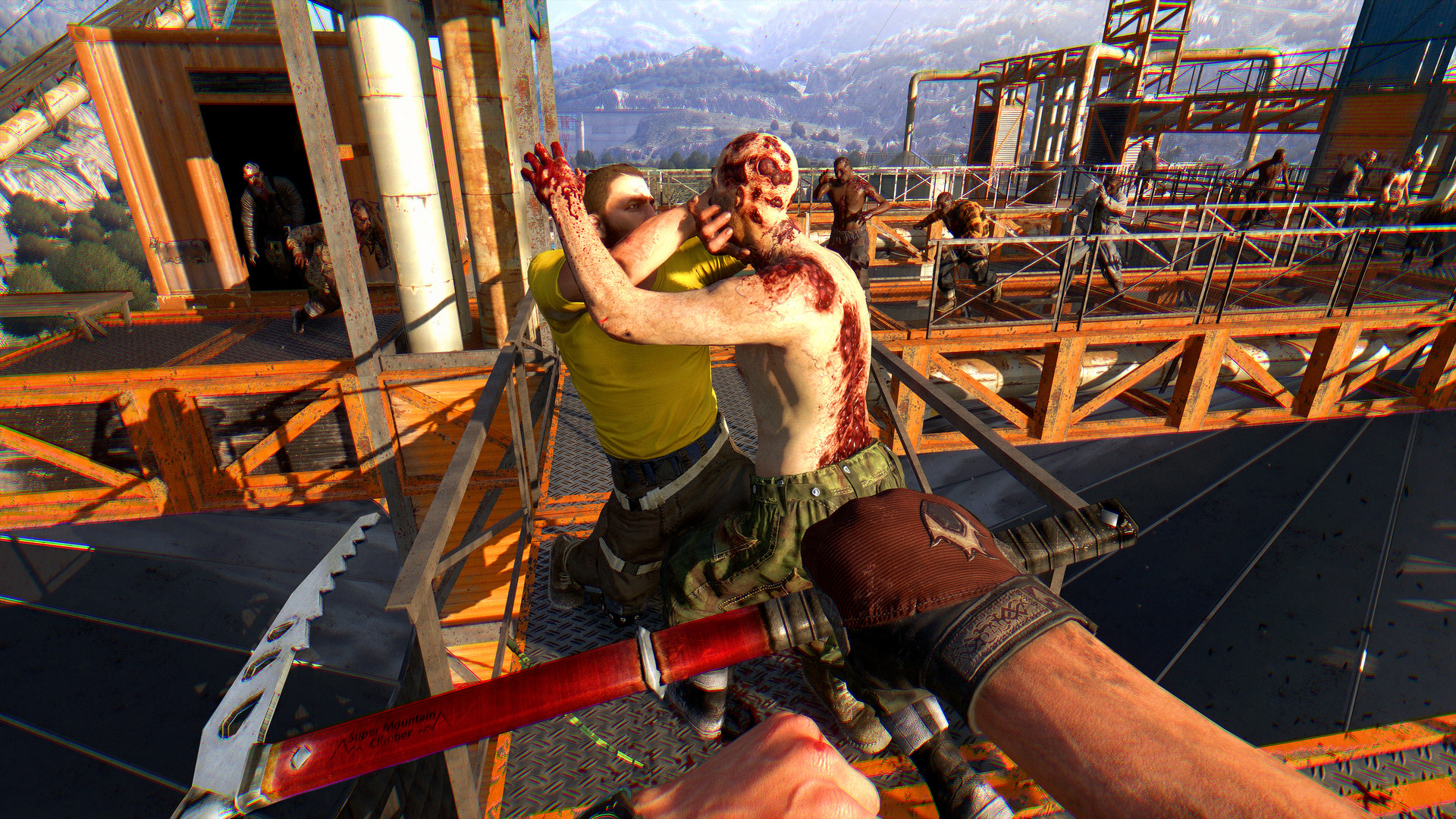 消逝的光芒：信徒/Dying Light: The Following 截图 5
