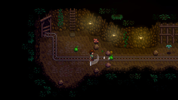 [星露谷物语]Stardew Valley-V1.4.5插图3