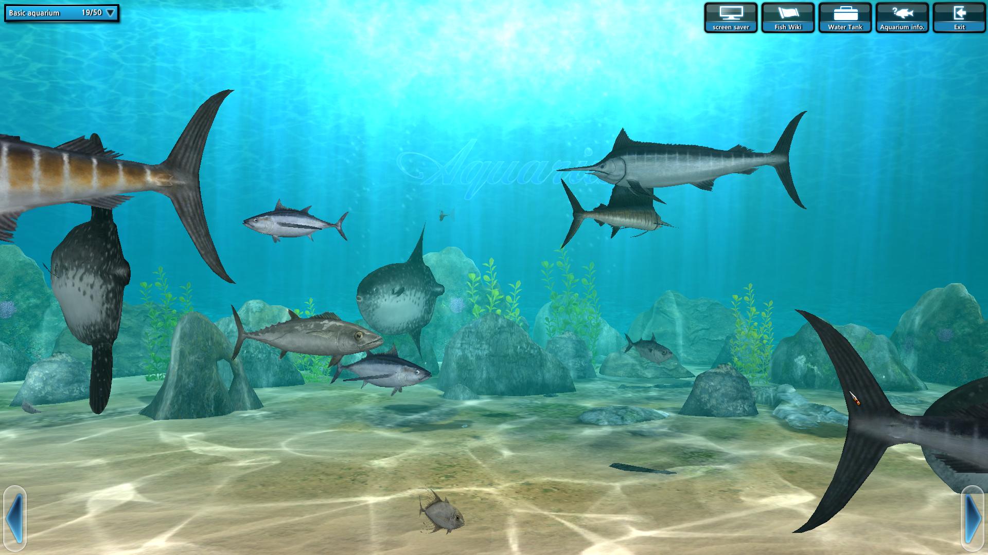World of Fishing | indienova GameDB 游戏库