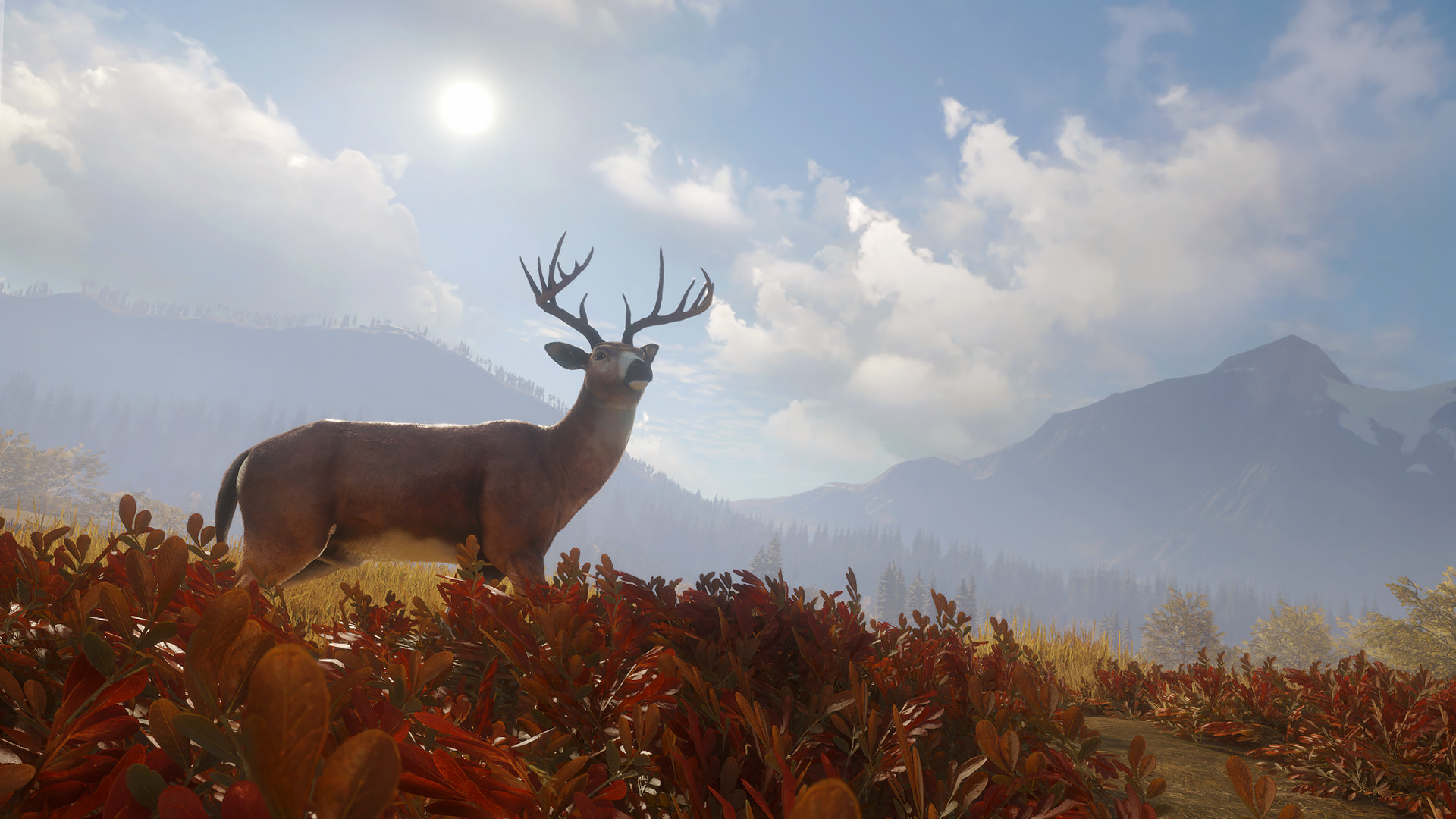 《猎人：荒野的呼唤》游戏单机版下载_win10完整版适配 - 怀旧游戏站