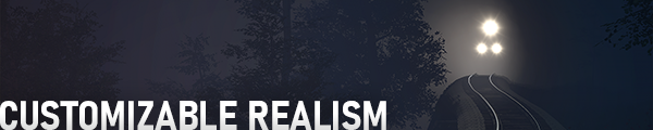 SimulatorFeatures-CustomizableRealism-600p.png