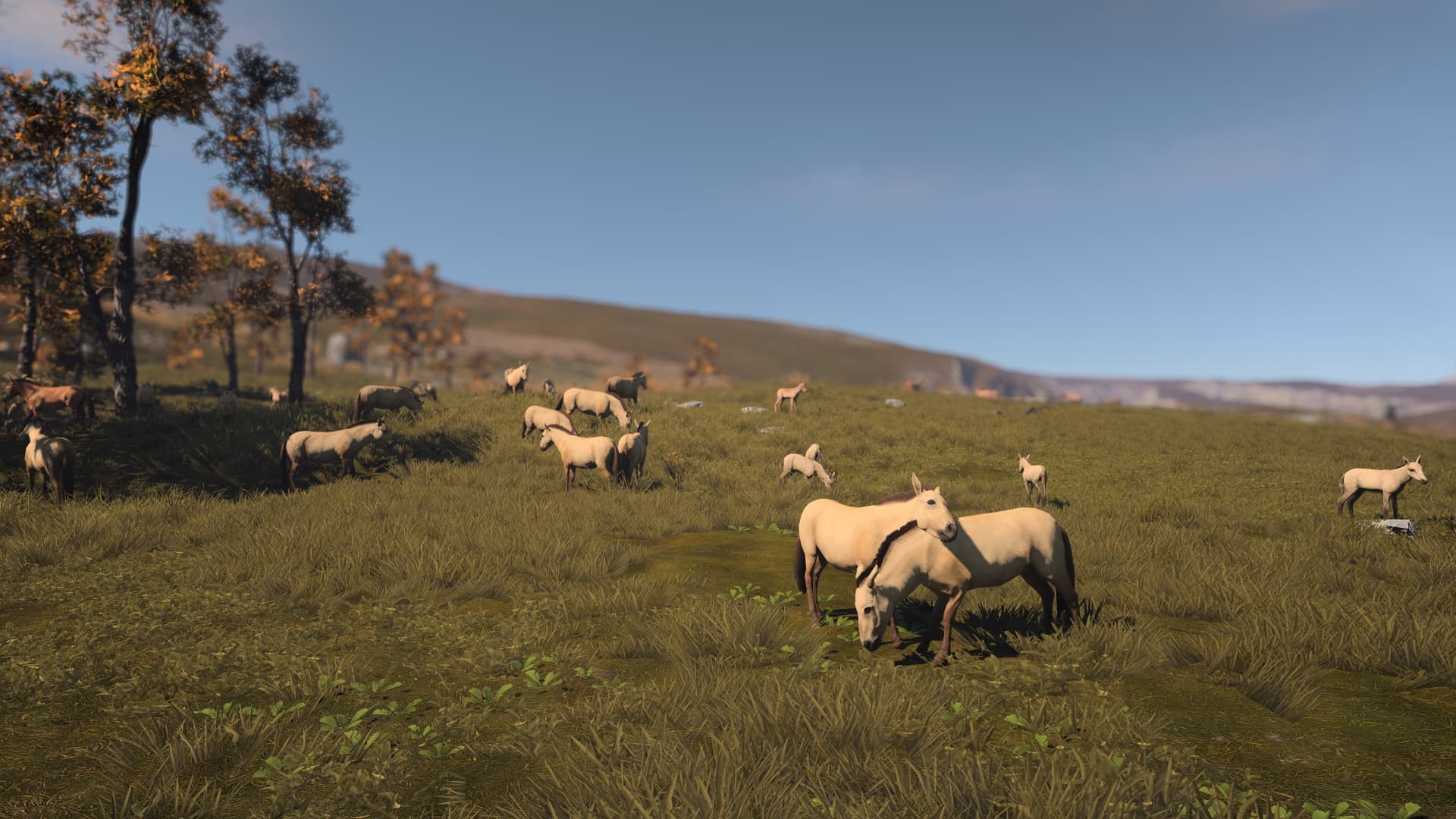 古老城市			/Ancient Cities 截图 3