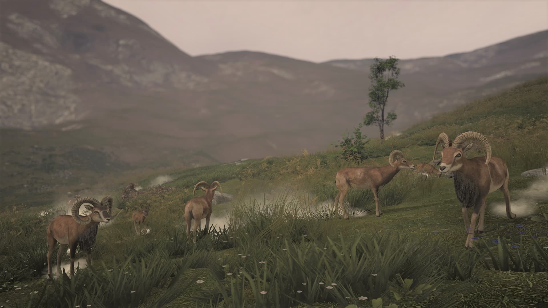 古老城市			/Ancient Cities 截图 32