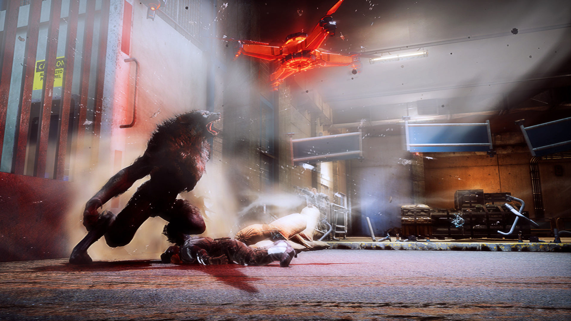 狼人之末日怒吼：地灵之血/Werewolf: The Apocalypse - Earthblood 截图 11