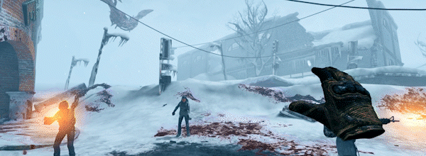 Co-op gameplay