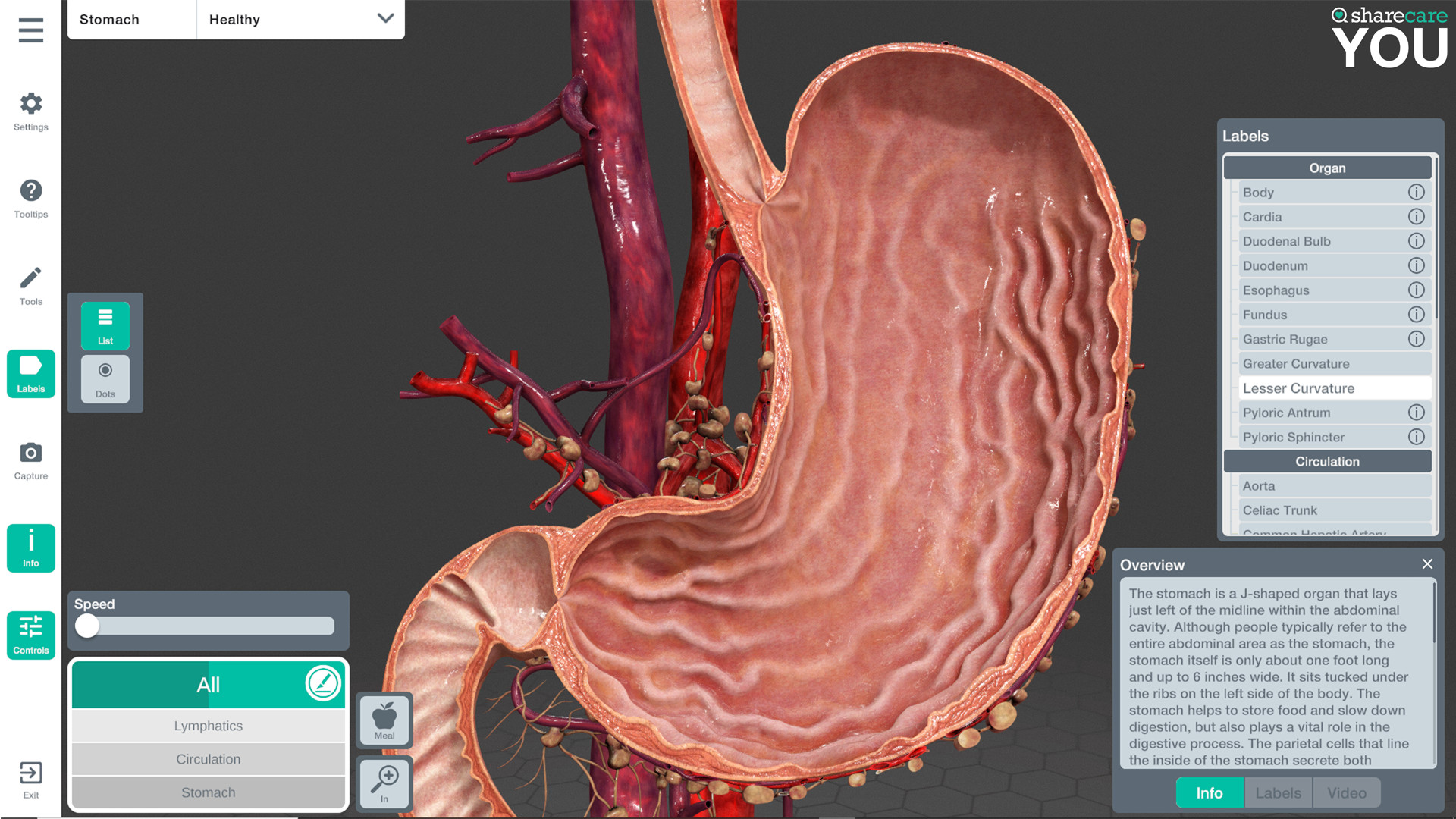 Oculus Quest 游戏《器官解刨学》Sharecare YOU Anatomy VR