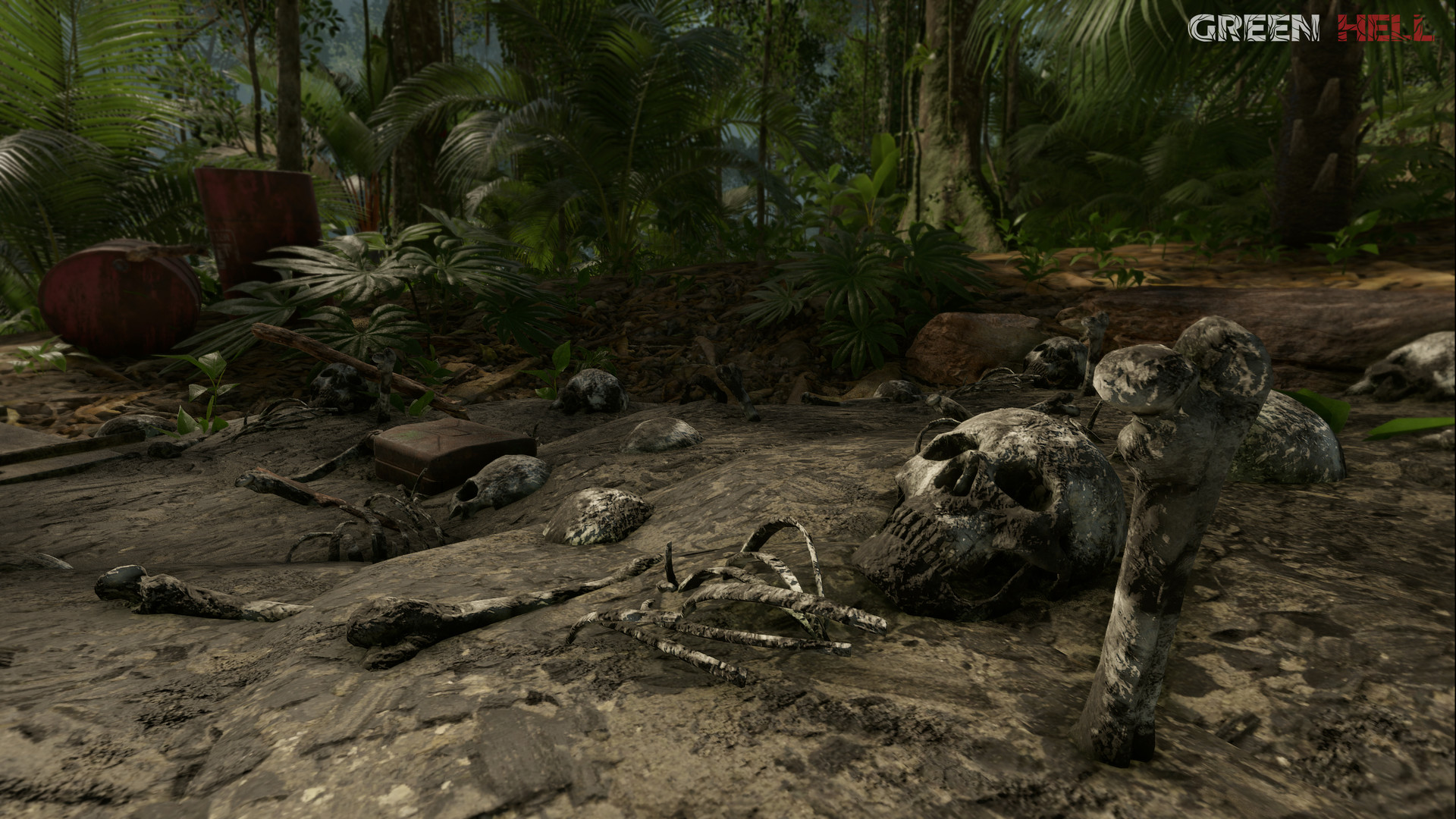 绿色地狱/丛林地狱/Green Hell 截图 22