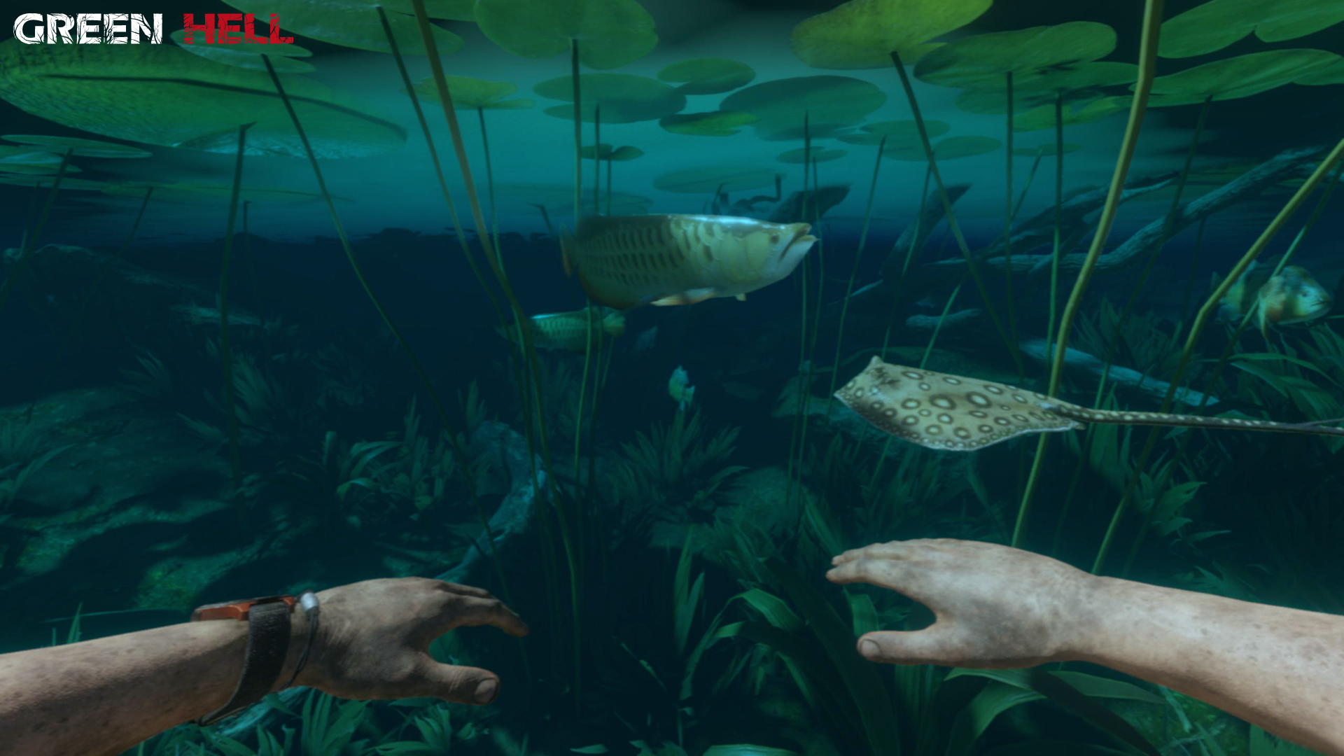 绿色地狱/丛林地狱/Green Hell 截图 13