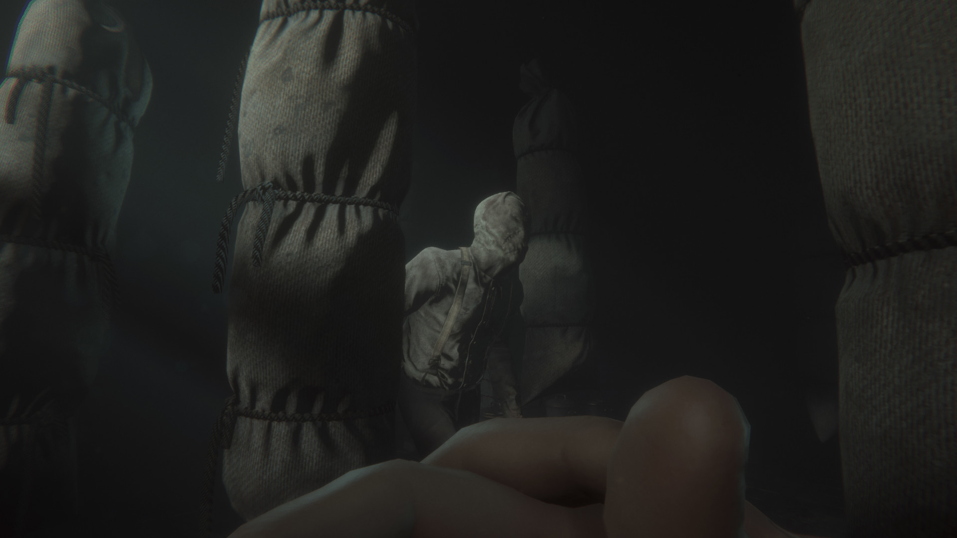 斯盖尔之女				/Maid of Sker 截图 15