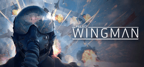 【VR】《皇牌空战 VR(Project Wingman VR)》